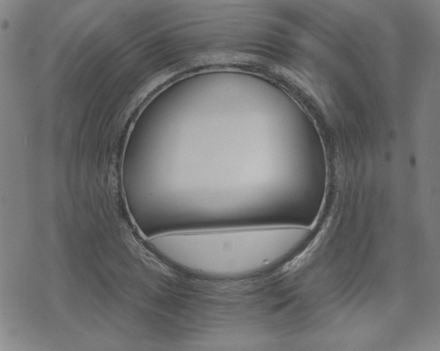 X0000072981025200607211000