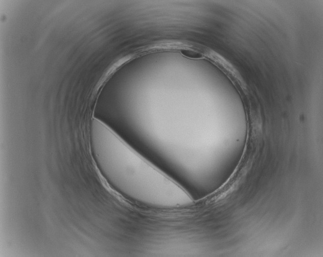 X0000072981049200607211001