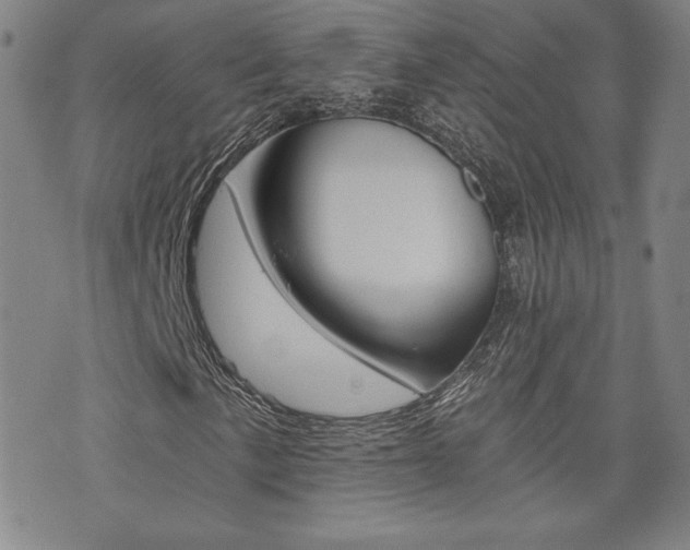 X0000072981057200607211000