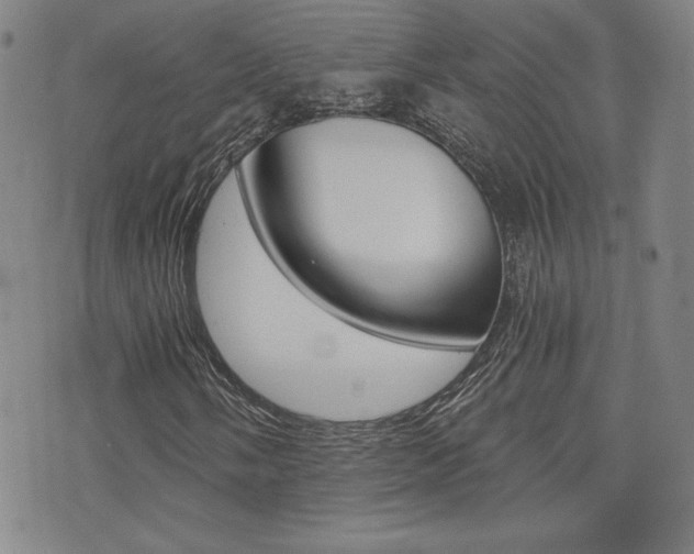 X0000072981058200607211000