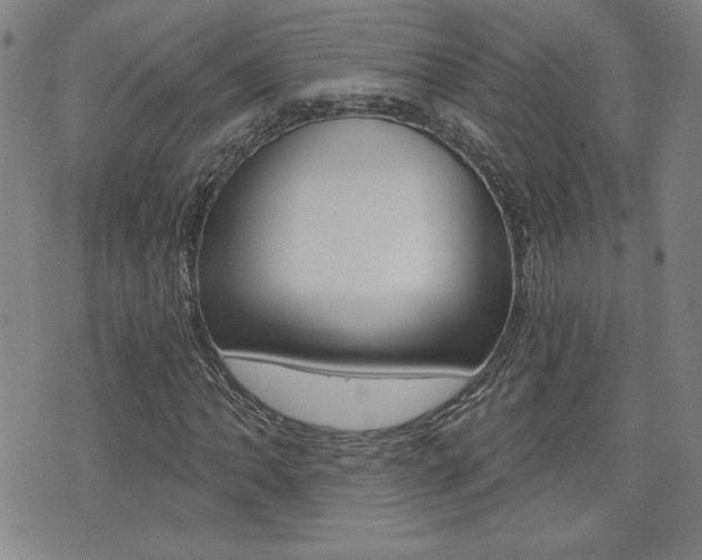 X0000072981062200607211000