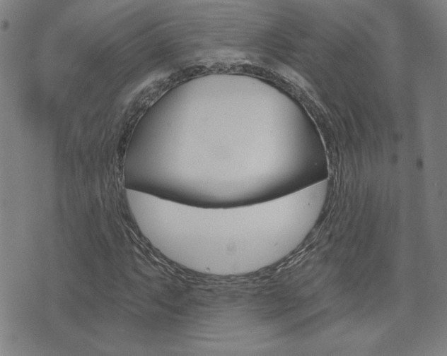 X0000072981063200607211000