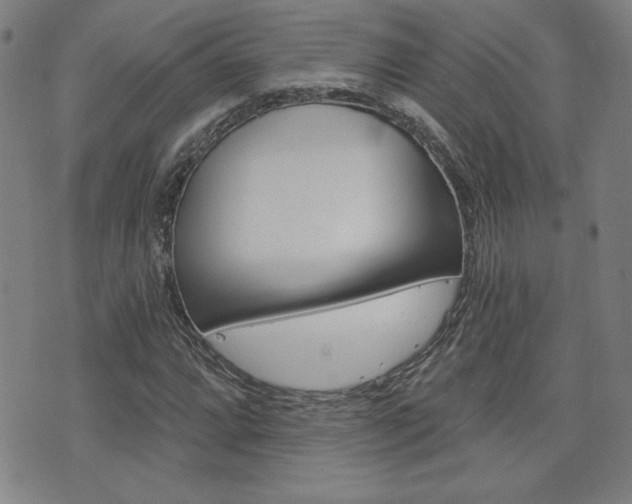 X0000072981064200607211000