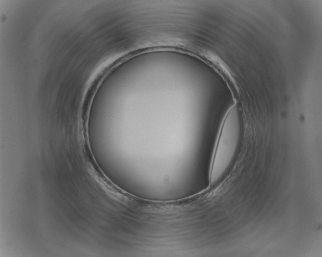 X0000072981072200607211000