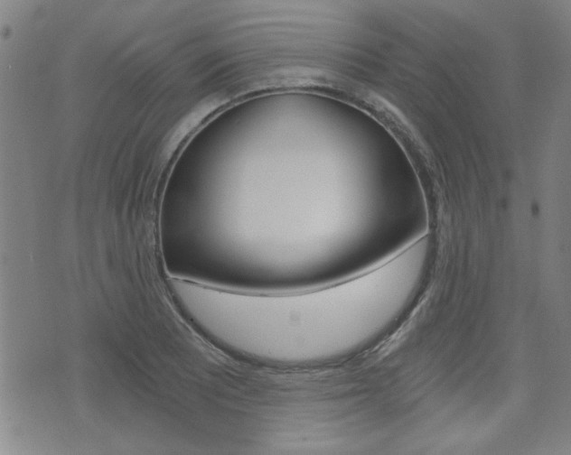 X0000072981081200607211000