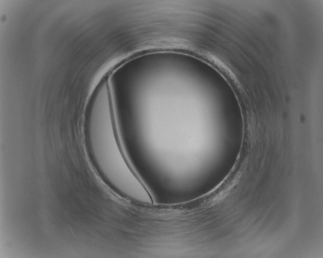 X0000072981085200607211000