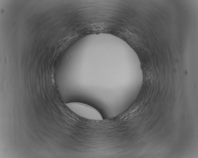 X0000072981106200607210958