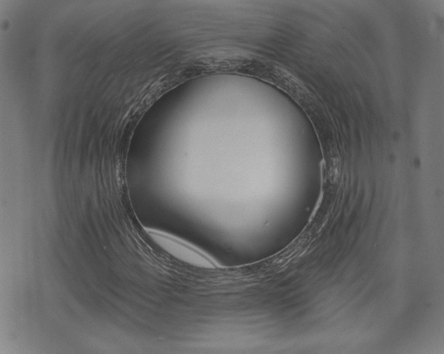 X0000072981108200607210959