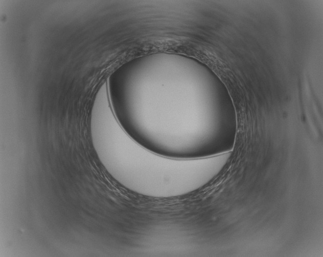 X0000072981109200607210959