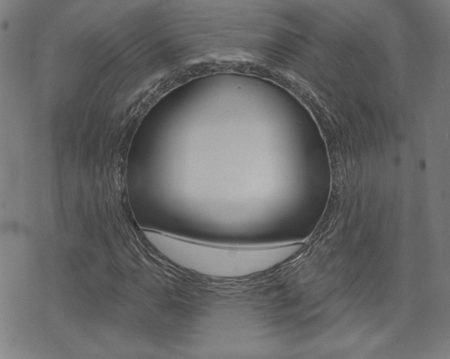X0000072981110200607210959