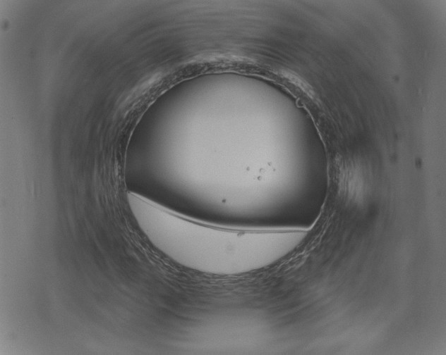 X0000072981111200607210959