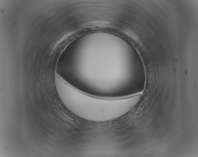 X0000072981112200607210959