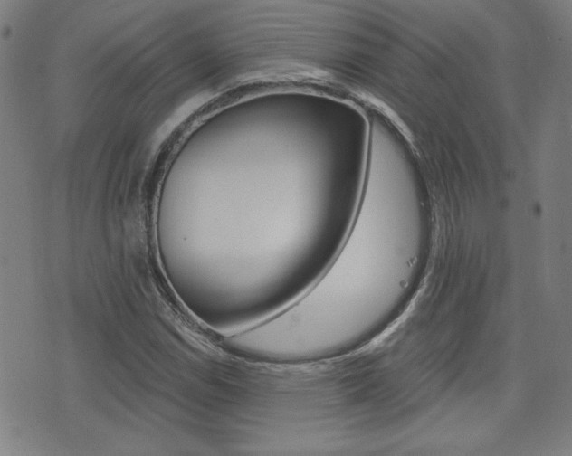 X0000072981114200607210959
