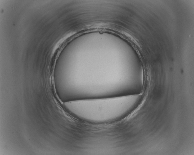 X0000072981117200607210959