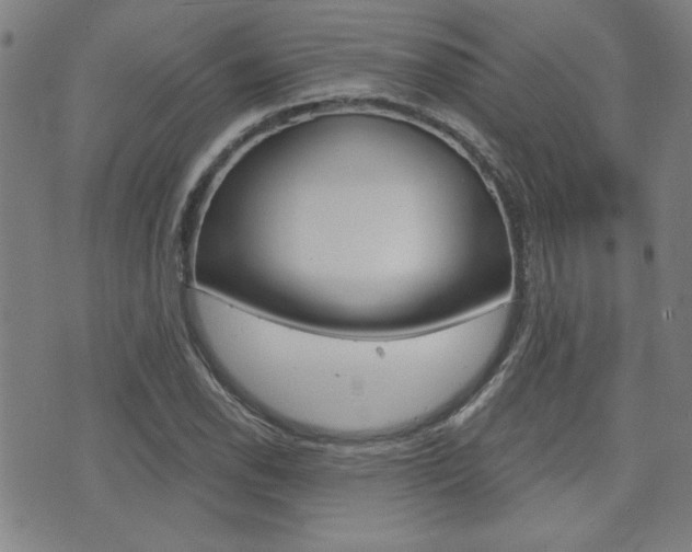 X0000072981118200607210959