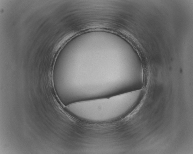 X0000072981121200607210959