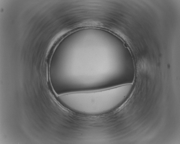 X0000072981123200607210959