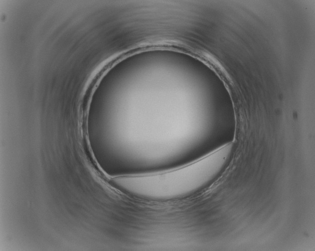 X0000072981124200607210959