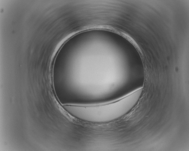X0000072981148200607210959