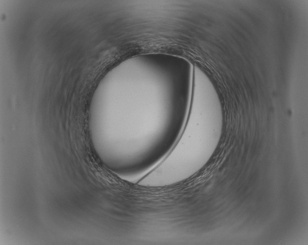 X0000072981153200607210958