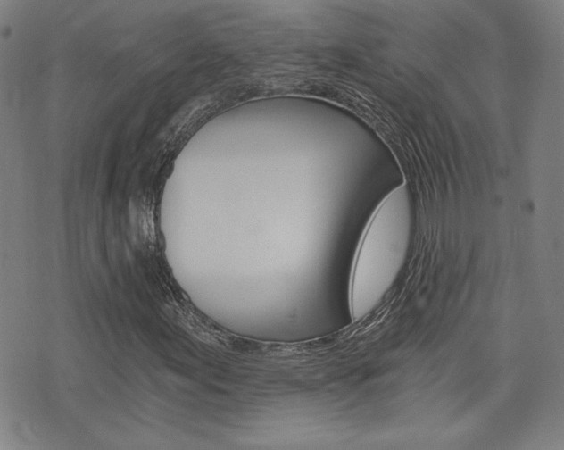 X0000072981155200607210958