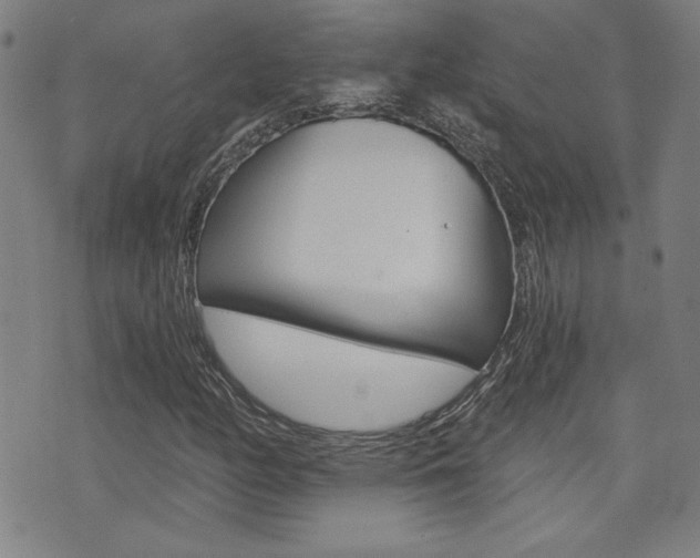 X0000072981158200607210958