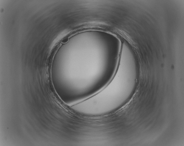 X0000072981164200607210958