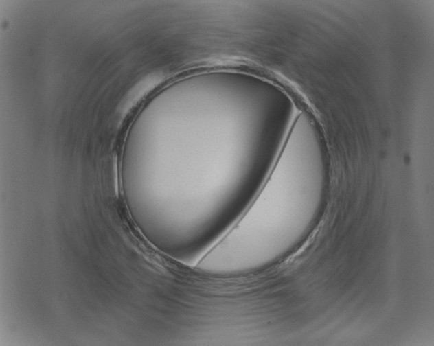 X0000072981171200607210958