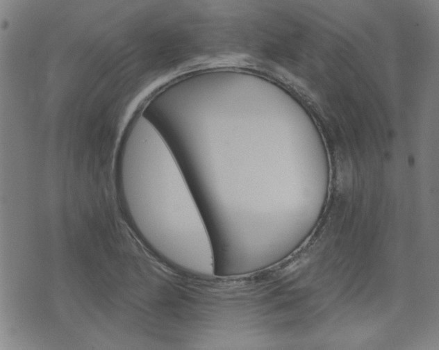 X0000072981174200607210958