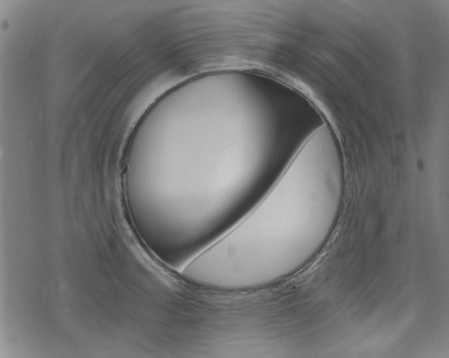 X0000072981187200607210958