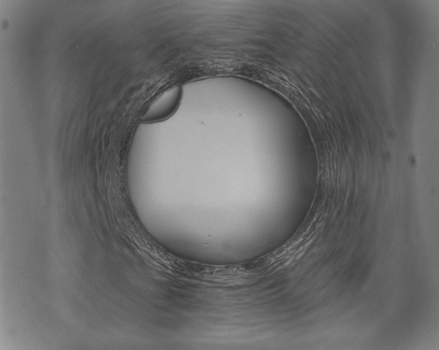 X0000072981201200607210957