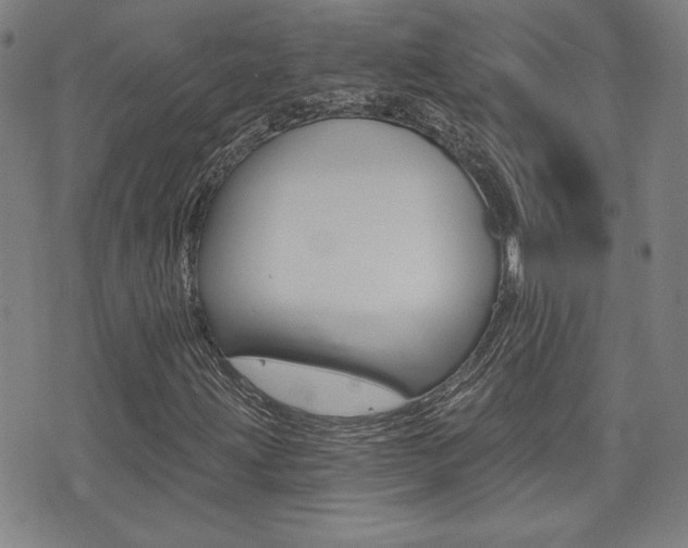 X0000072981203200607210957