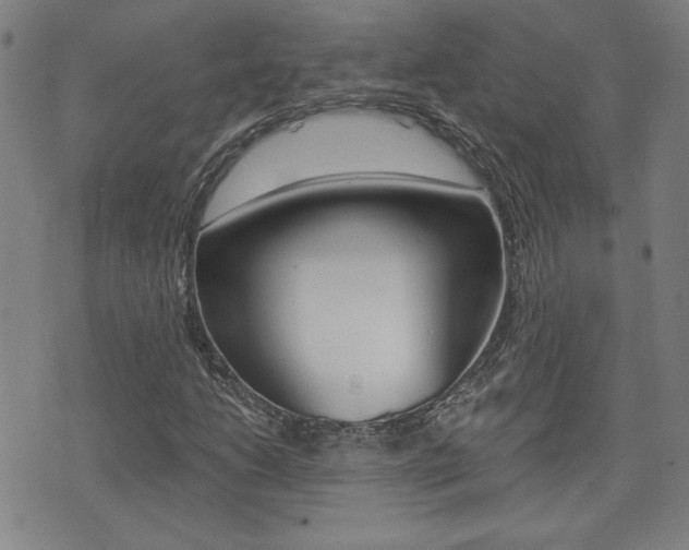 X0000072981206200607210957