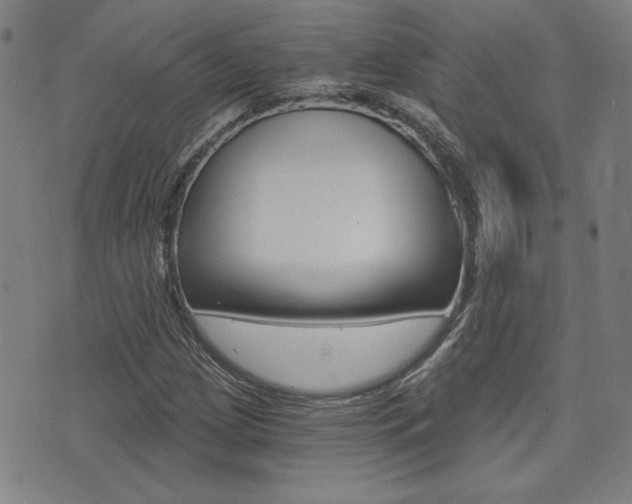 X0000072981209200607210957