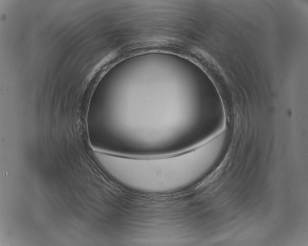 X0000072981210200607210957