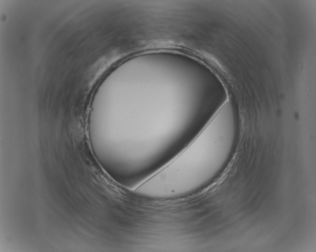 X0000072981212200607210957