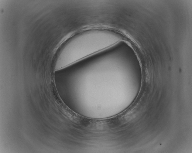 X0000072981213200607210957