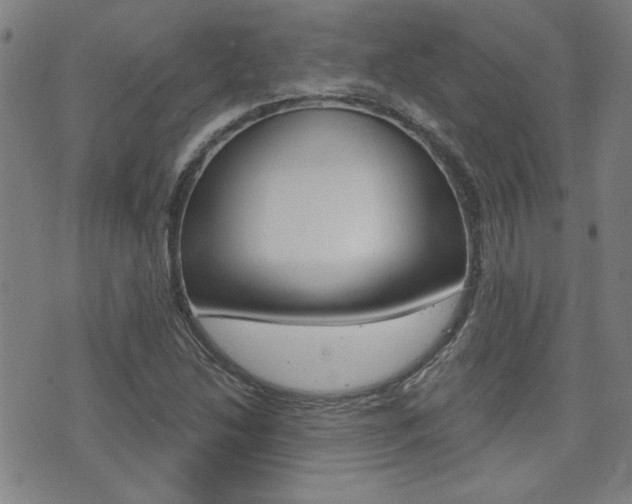X0000072981214200607210957