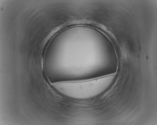 X0000072981221200607210957