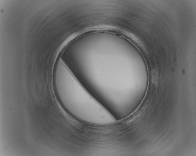 X0000072981229200607210957