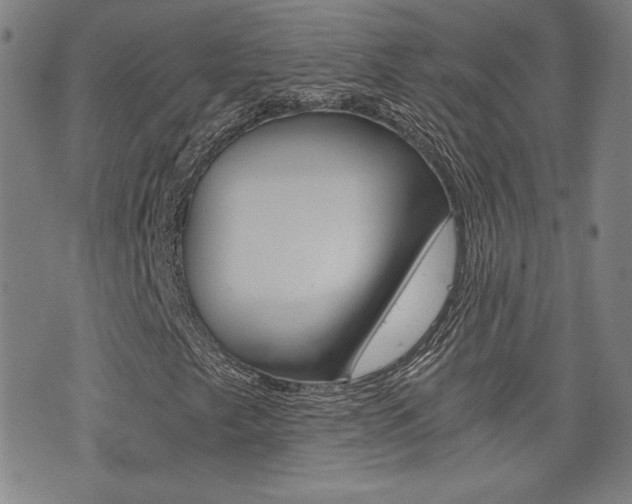 X0000072981249200607210957