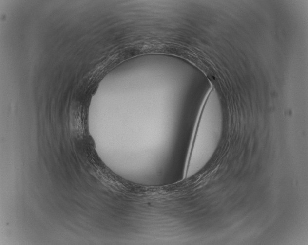 X0000072981250200607210957
