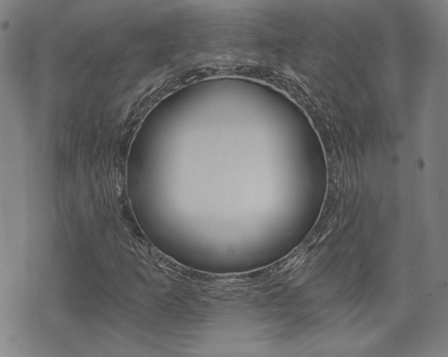 X0000072981253200607210957