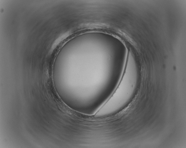 X0000072981261200607210957