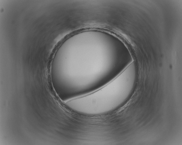X0000072981264200607210957