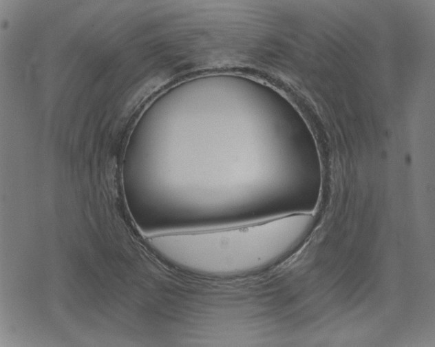 X0000072981265200607210957