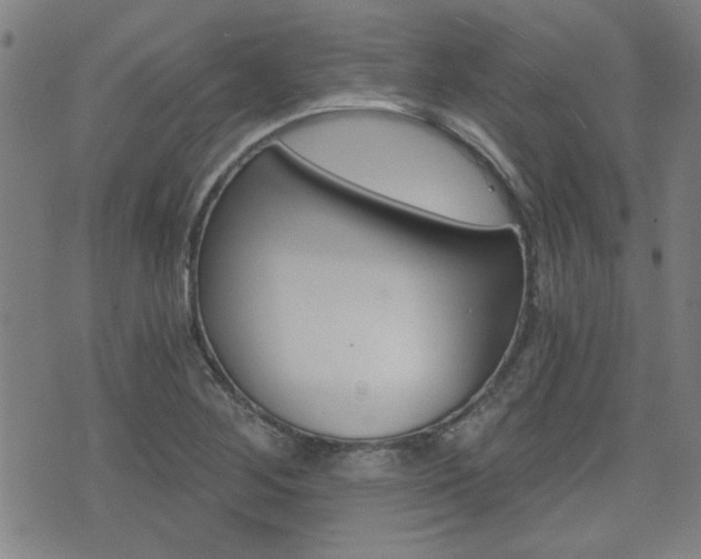 X0000072981268200607210957
