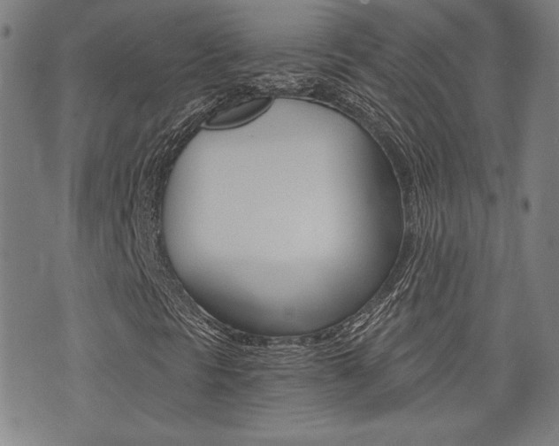 X0000072981297200607210955
