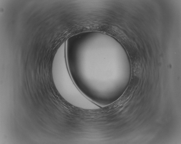 X0000072981298200607210955