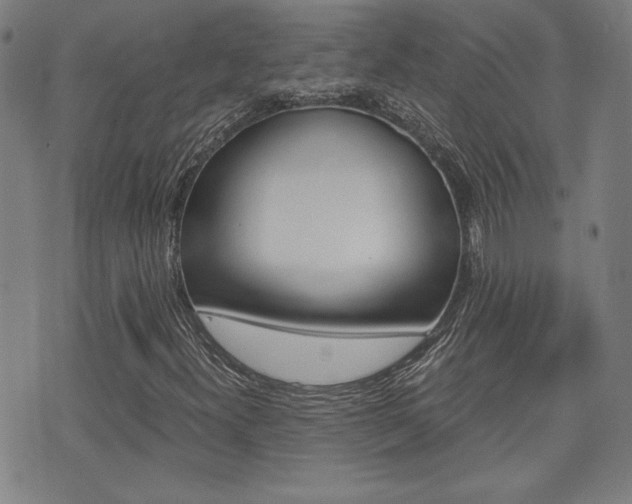 X0000072981300200607210955